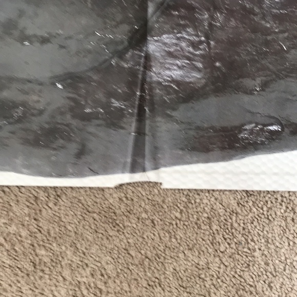 Extreme Dinosaurs by Robert Mash - Picture 10 of 10